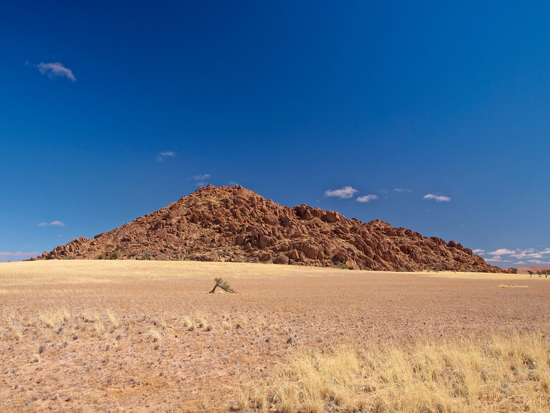 Desert Camp